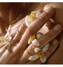 Libre L'Eau Nue - Hautparfüm für Frauen